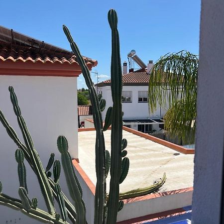 Mex Leilighet Mairena del Aljarafe Eksteriør bilde
